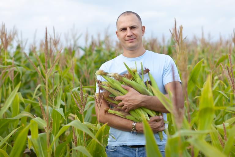 markestrat-blog-agregando-valor-com-investimentos-em-etanol-de-milho
